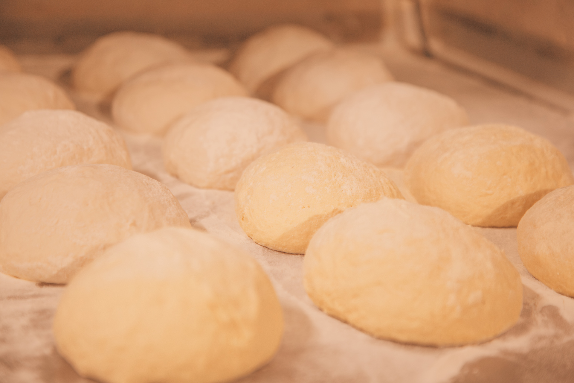 Bollos de masa de pizza leudando uno al lado del otro sobre la mesada